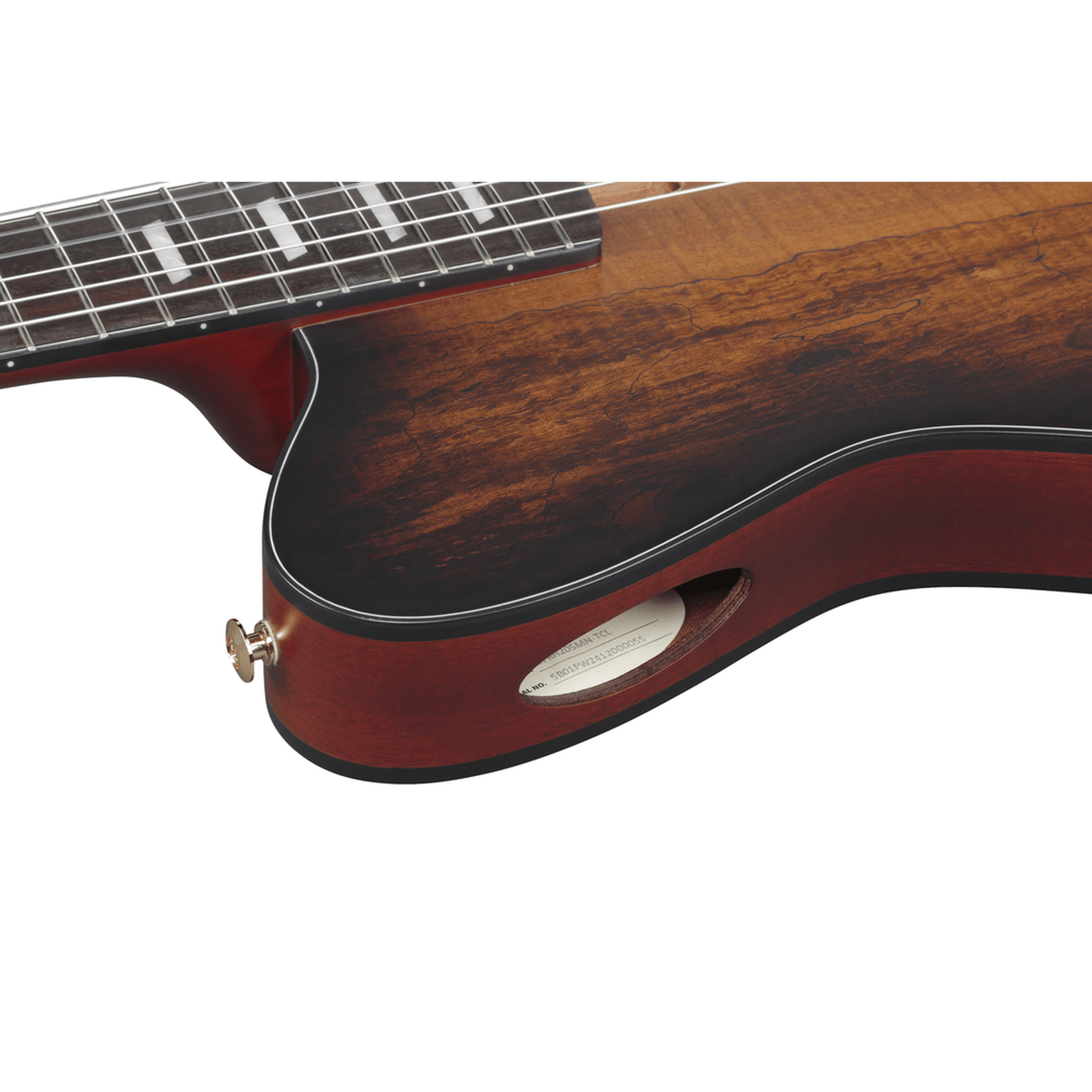 Ibanez FRH20SMN Nylon String Guitar - Tobacco Burst Low Gloss