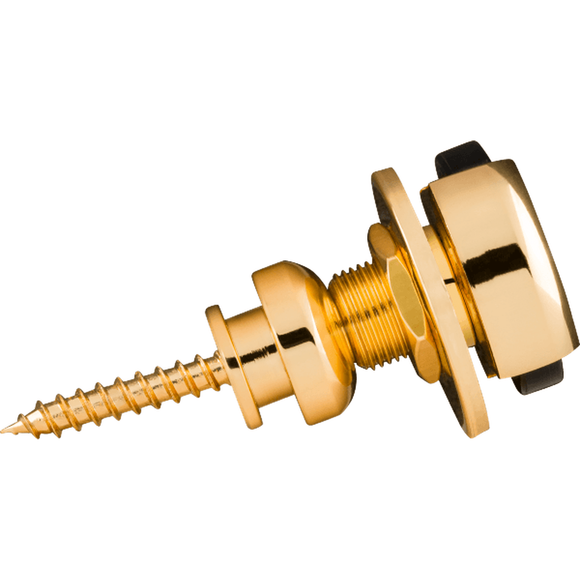 Fender "F Locks"  Infinity Guitar Strap Locks Gold from Joondalup Music Centre 5