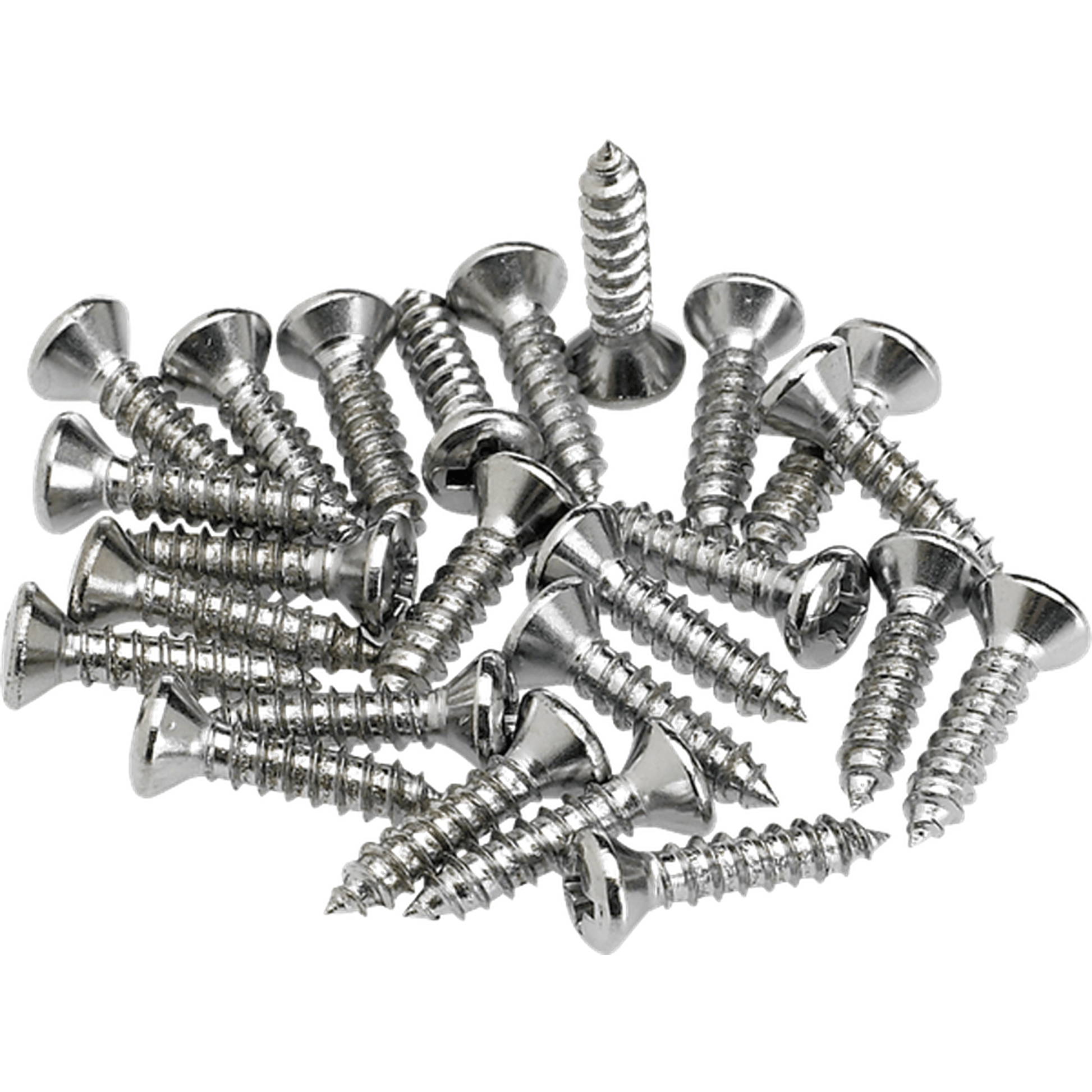 Fender Pickguard/Control Plate Mounting Screws (24) (Chrome) from Joondalup Music Centre
