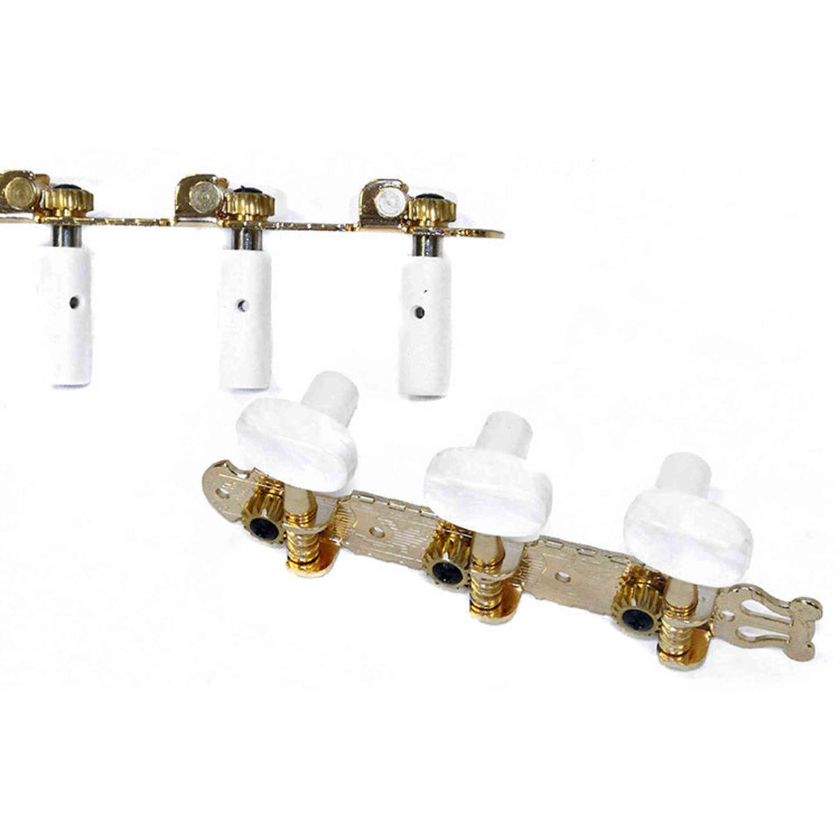 GT Classical Guitar Tuning Machines on Decorative Plate in Gold Finish (3+3)
