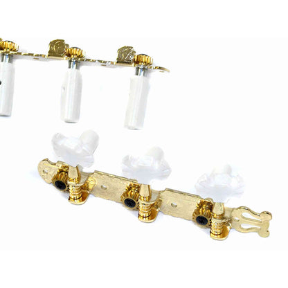 GT Classical Guitar Tuning Machines on Decorative Plate in Gold Finish (3+3)