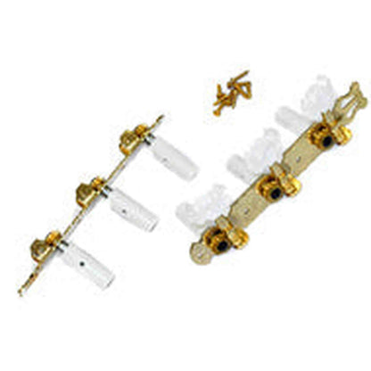 GT Classical Guitar Tuning Machines on Decorative Plate in Gold Finish (3+3)