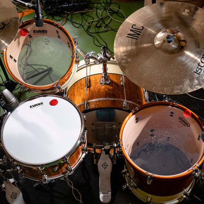 Dixon Little Roomer Select 3-Pce Drum Kit - Brown Natural/Pearl White Finish
