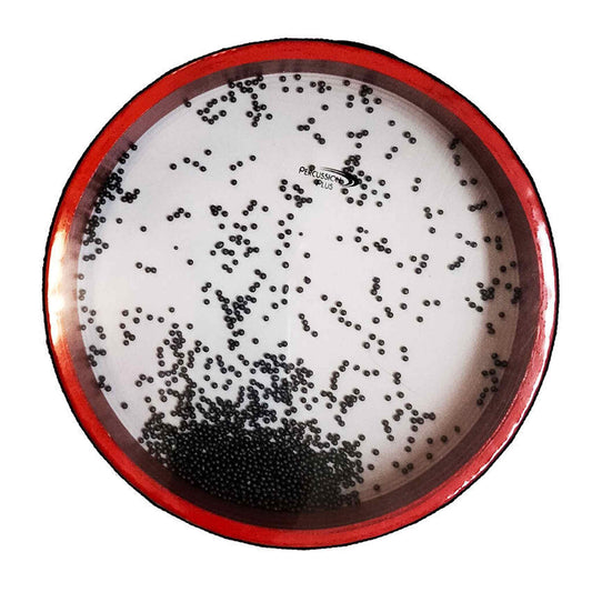 Percussion Plus 10" Handheld Ocean Drum Sound Effect - PERCUSSION - [shop-name]