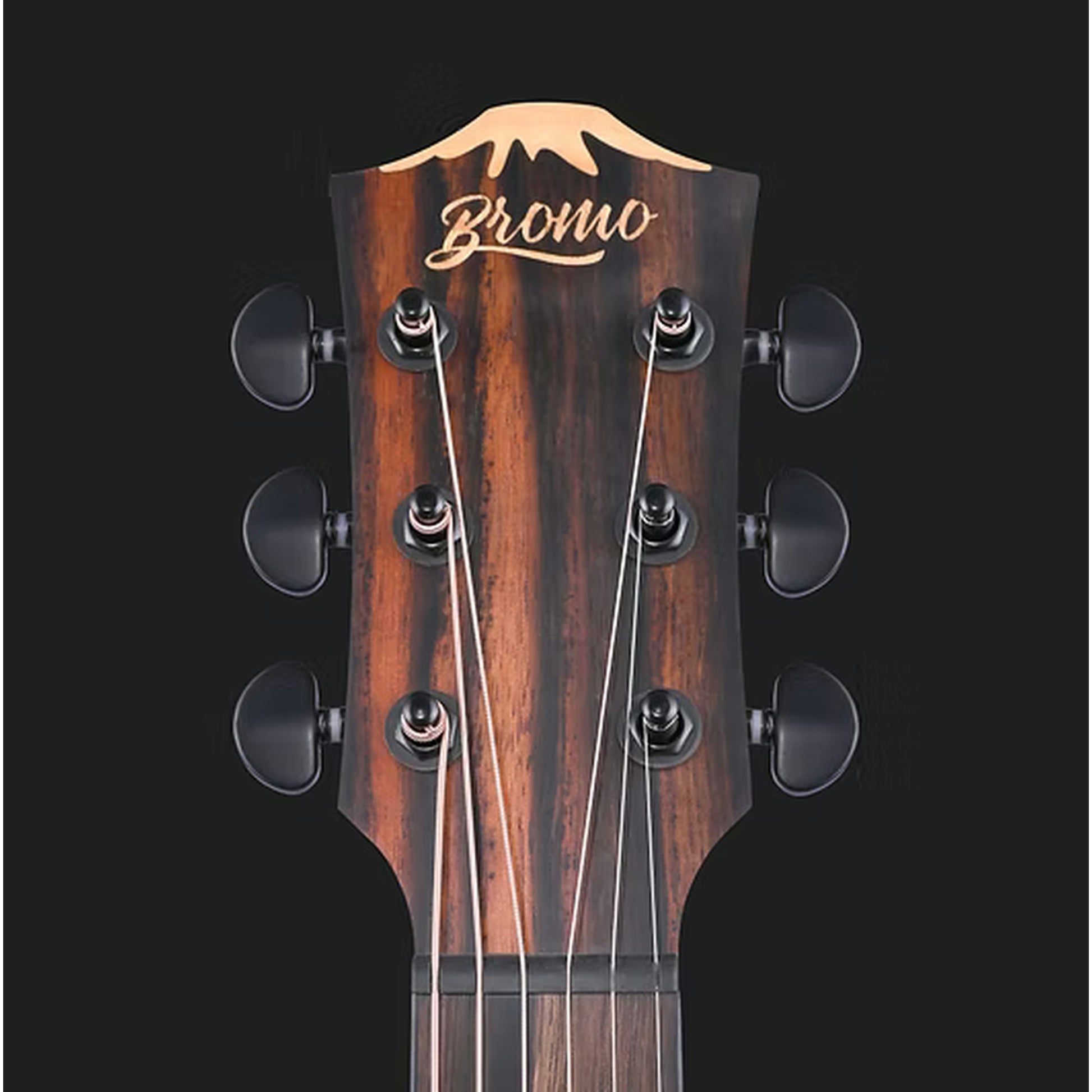 Bromo Appalachia Mini Jumbo Acoustic Guitar keys closeup