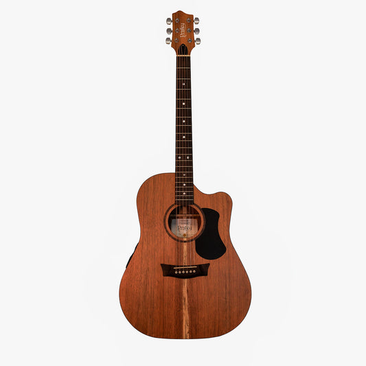 Pratley Classic Dreadnought Blackwood Back & Sides/Blackwood Top from Joondalup Music Centre 2