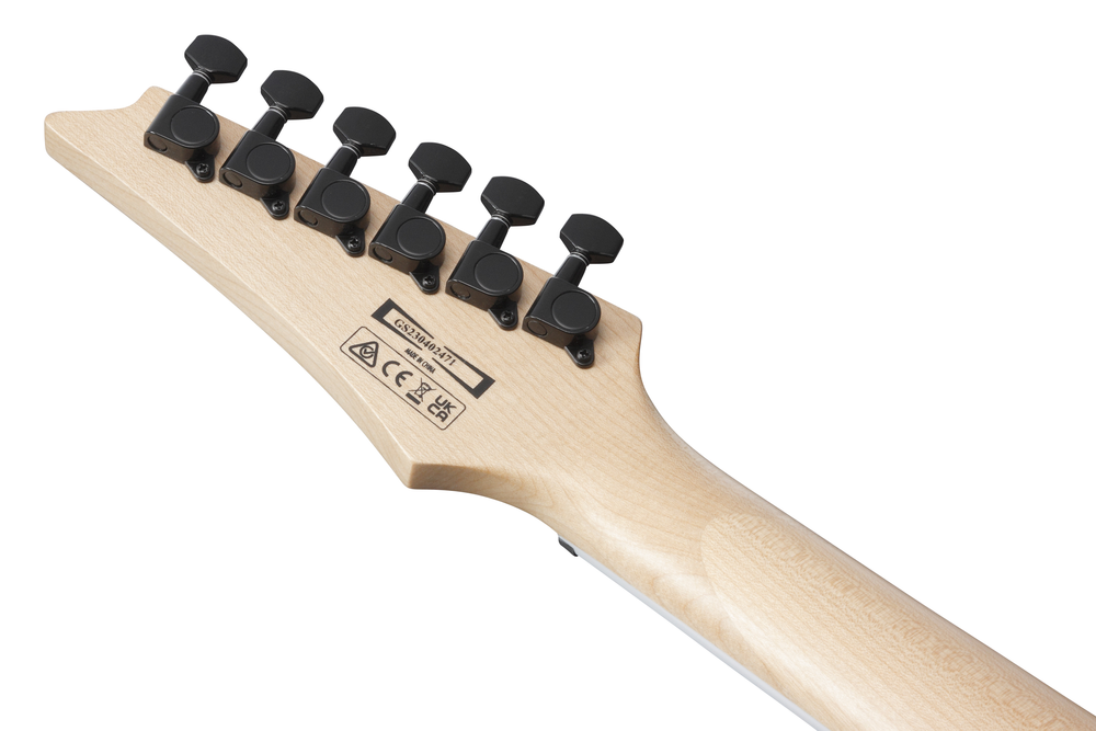 Ibanez RGV250 Electric Guitar - Jewel Blue
