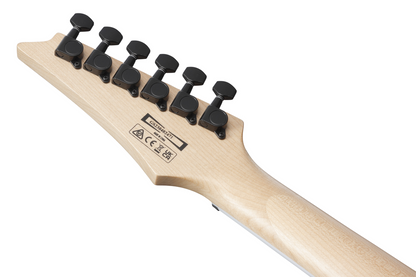 Ibanez RGV250 Electric Guitar - Jewel Blue