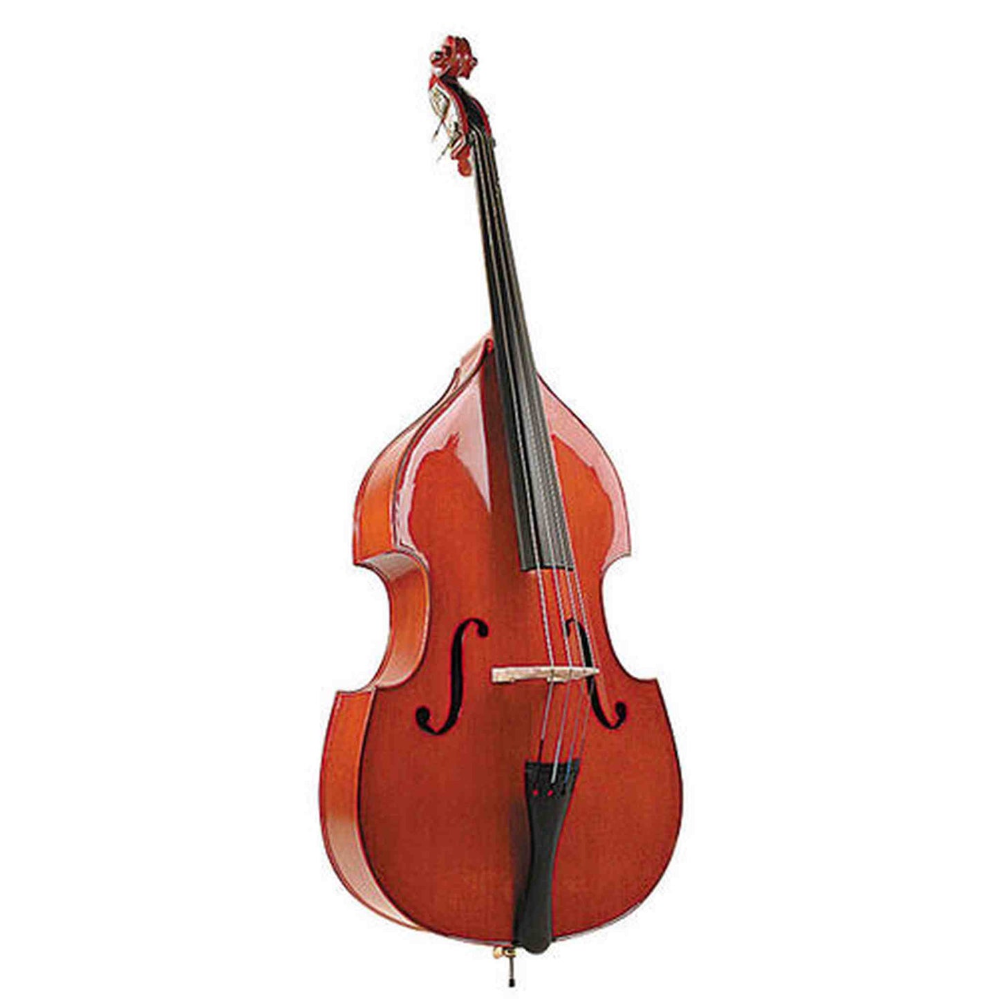 Stentor 1/2 Size Double Bass - Mid Chestnut