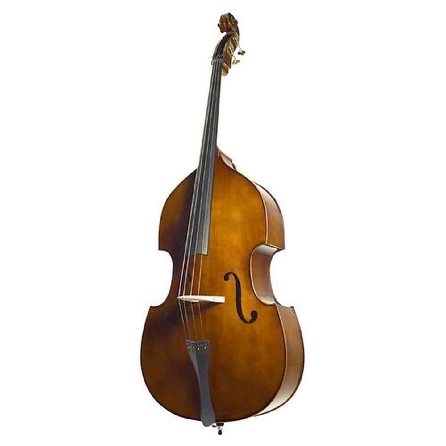Stentor Student Double Bass Outfit - 3/4