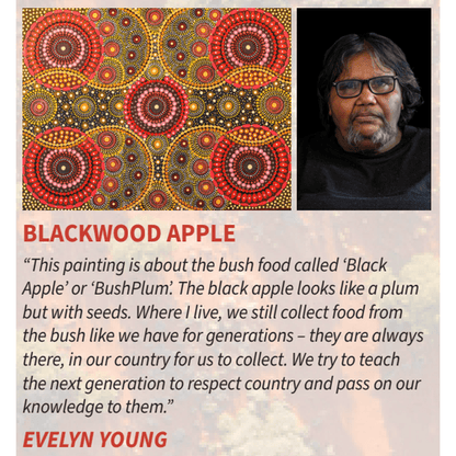 Kala Desert Storylines by Evelyn Young Concert Ukulele