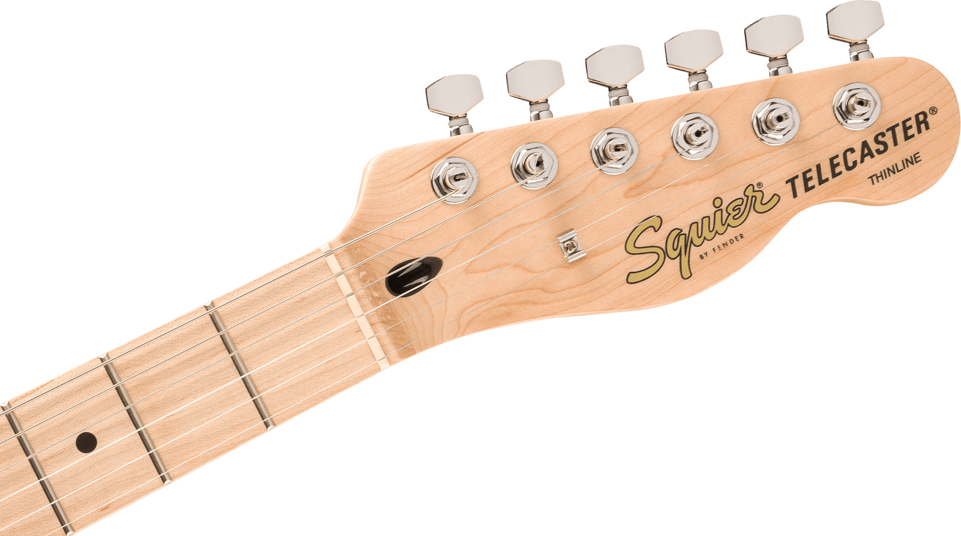 Squier Affinity Series Telecaster Thinline - 3-Color from Joondalup Music Centre 5