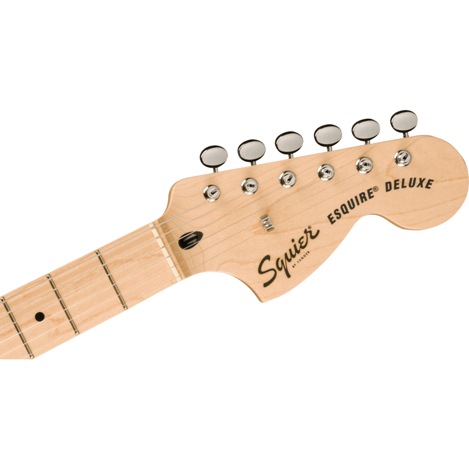 Squier Paranormal Esquire Deluxe Electric Guitar - Black from Joondalup Music Centre 6