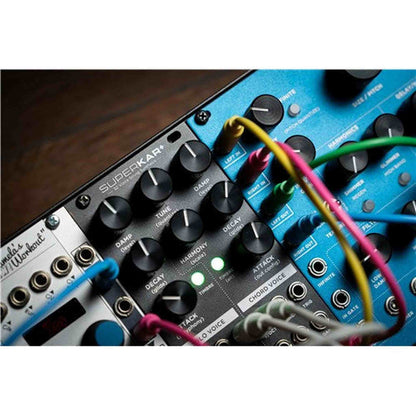 Strymon Superkar+ 32 Voice String Synth for Eurorack