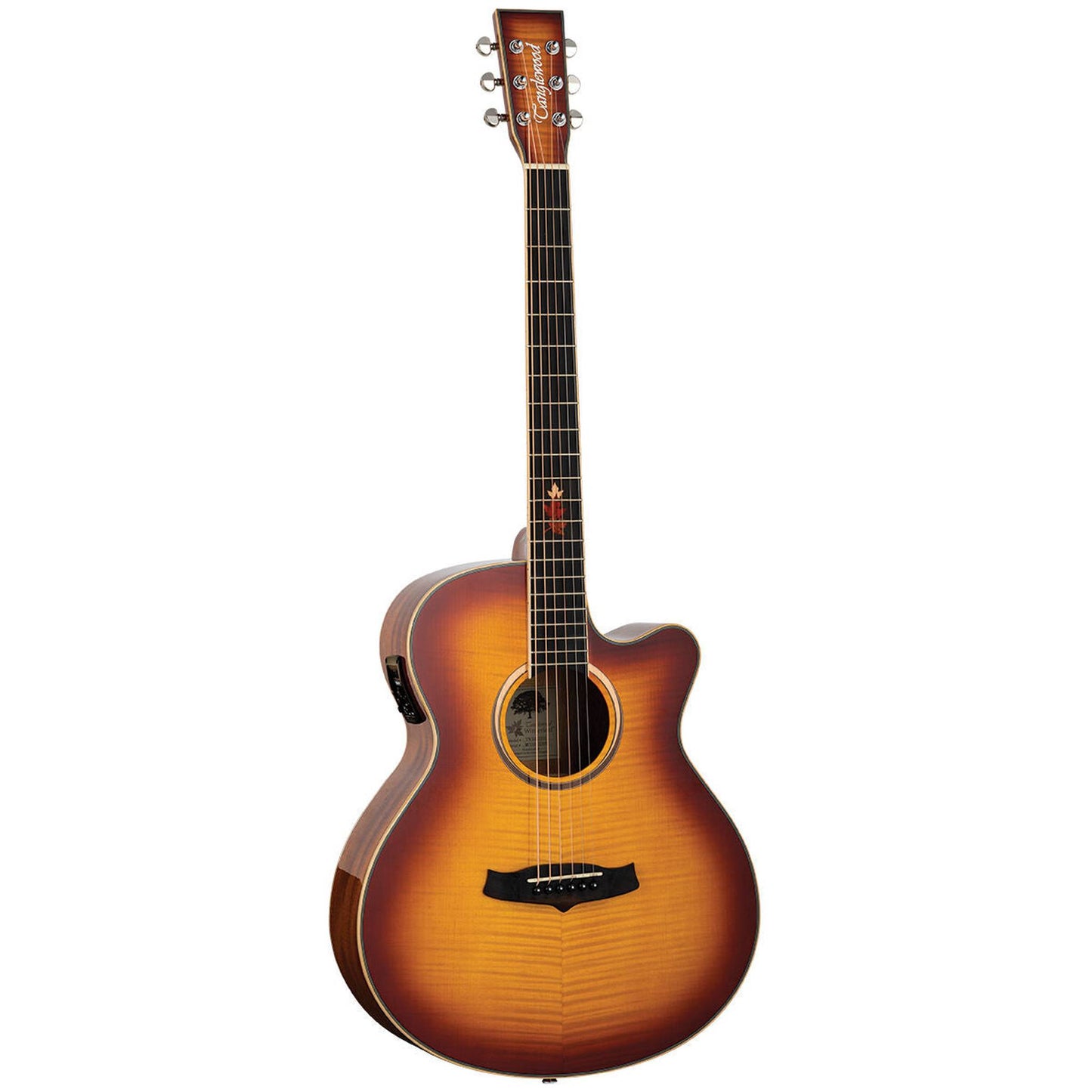 Tanglewood Winterleaf Exotic Superfolk Solid Top Acoustic Guitar - Sunburst Flame Maple