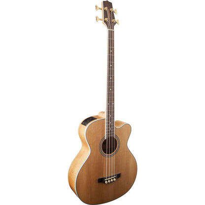 Takamine GB72 Series AC/EL Bass Guitar - Natural Finish 3