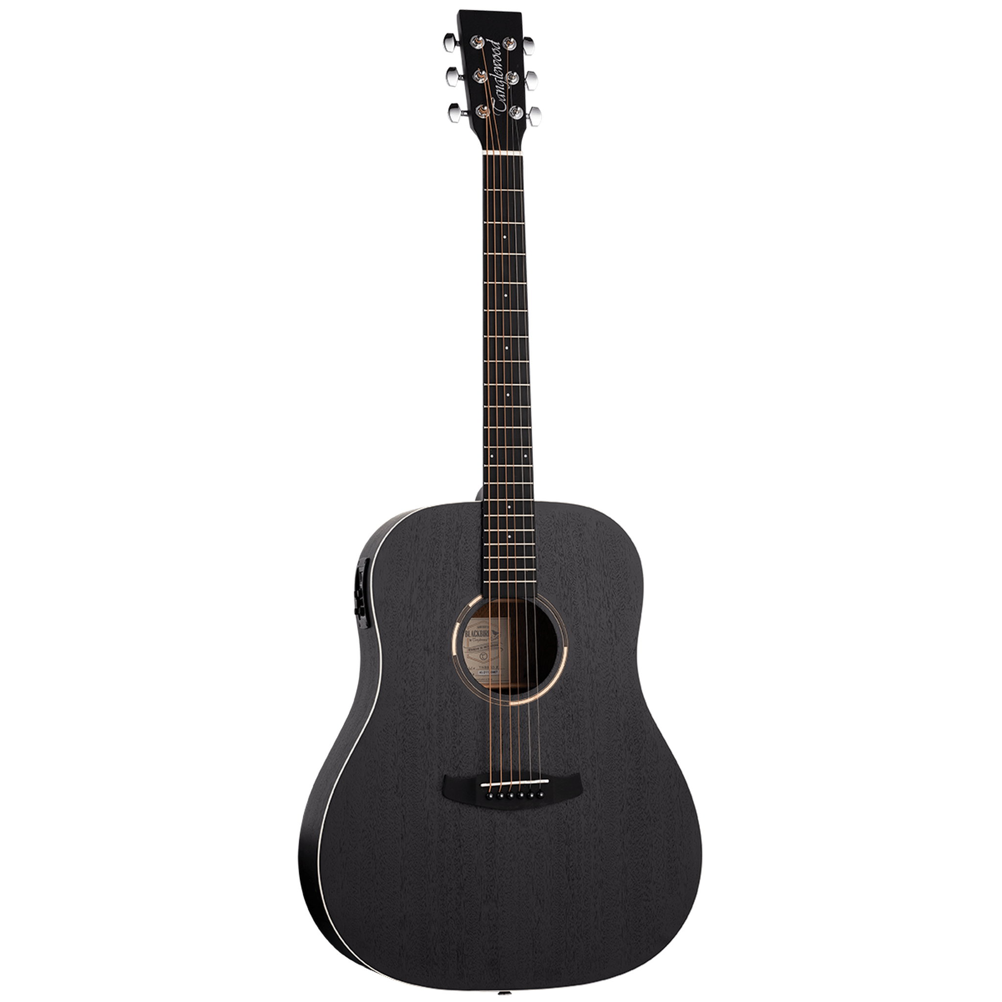 Tanglewood TWBBSDE Shoulder Acoustic Guitar – Joondalup Music Centre