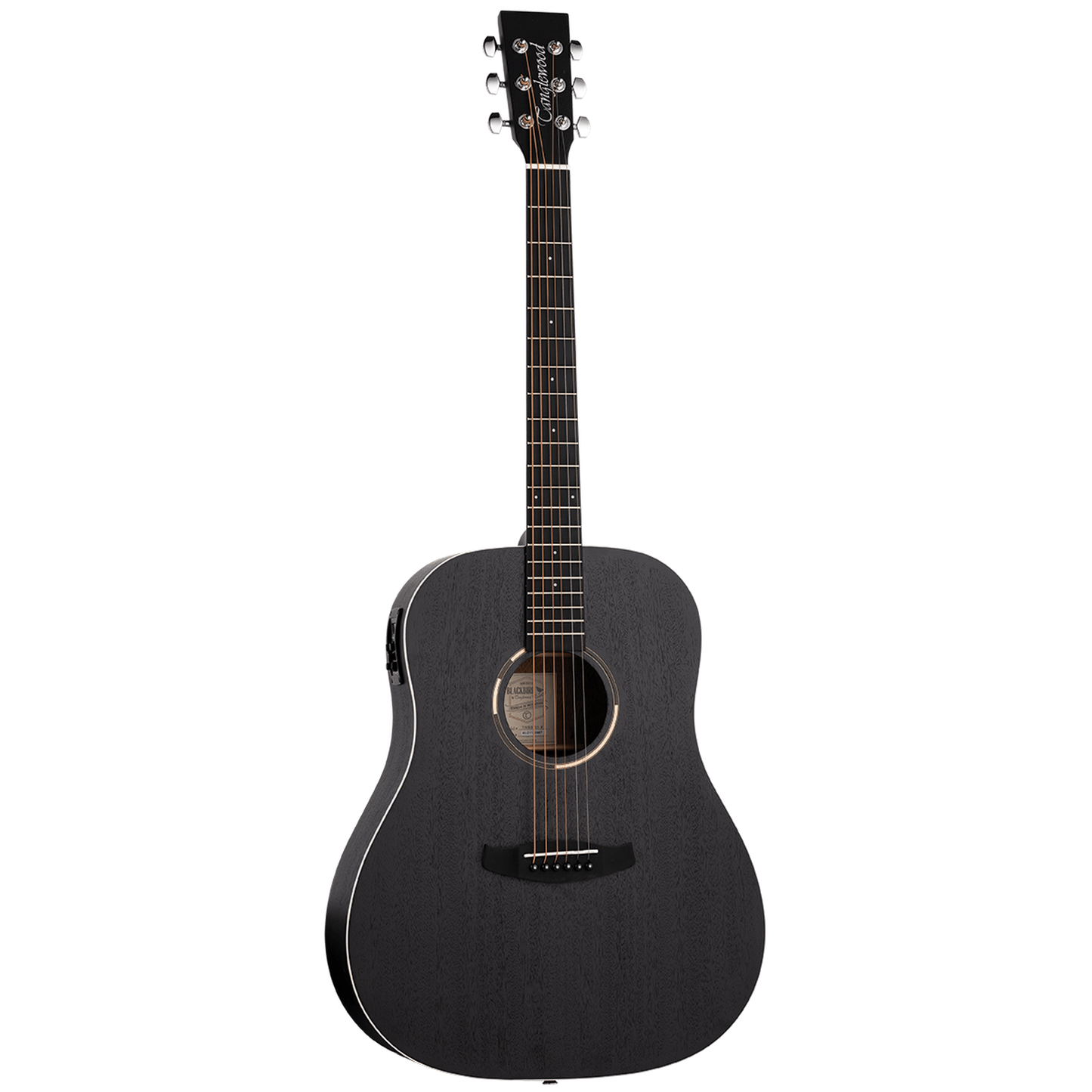 Tanglewood TWBBSDE Shoulder Acoustic Guitar - Smokestack Satin from Joondalup Music Centre