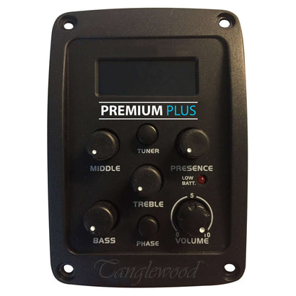 Tanglewood TWBBSDE Shoulder Acoustic Guitar - Smokestack Satin from Joondalup Music Centre 3