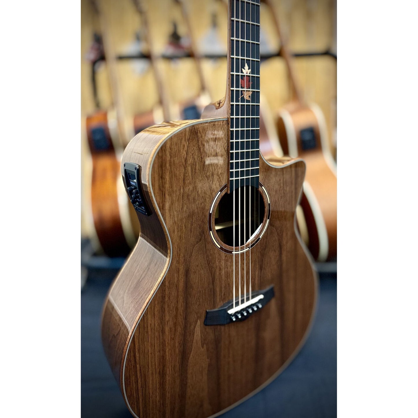 Tanglewood Winterleaf Exotic Superfolk Solid Top Venetian Acoustic Guitar - Black Walnut from Joondalup Music Centre 2