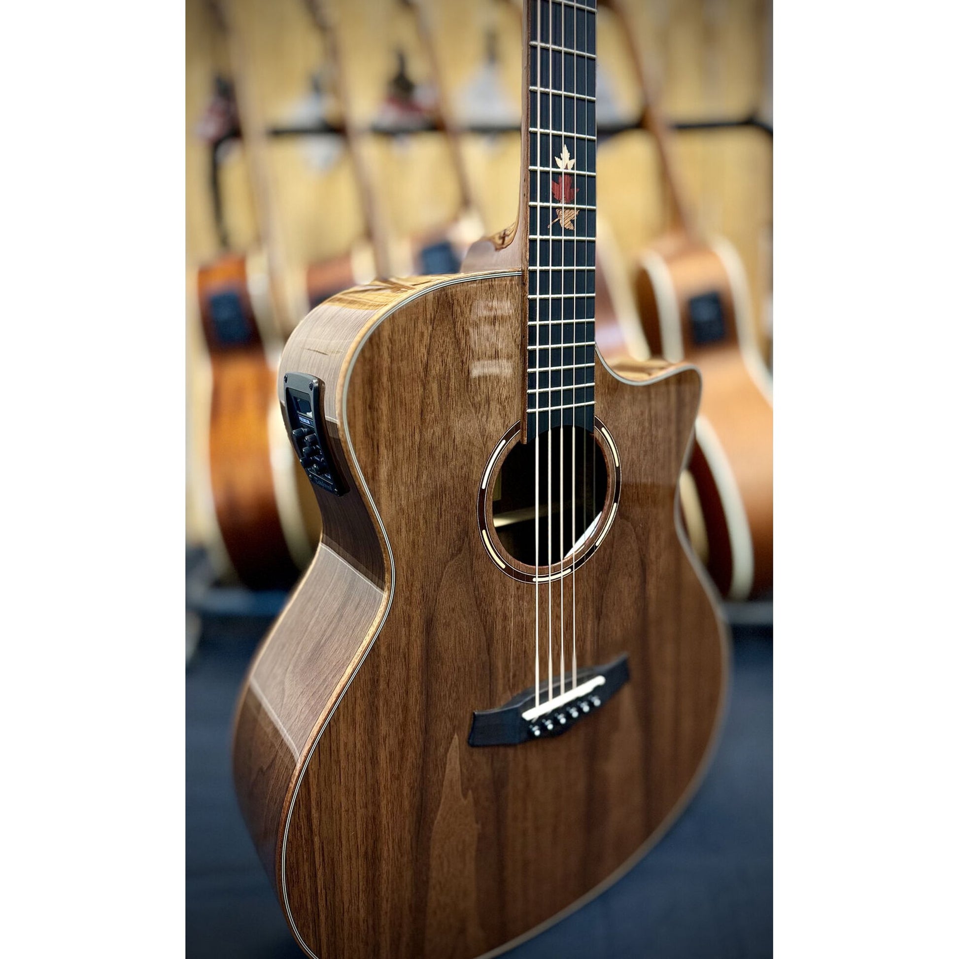 Tanglewood Winterleaf Exotic Superfolk Solid Top Venetian Acoustic Guitar - Black Walnut from Joondalup Music Centre 2
