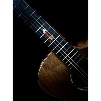 Tanglewood Winterleaf Exotic Superfolk Solid Top Venetian Acoustic Guitar - Black Walnut from Joondalup Music Centre 3