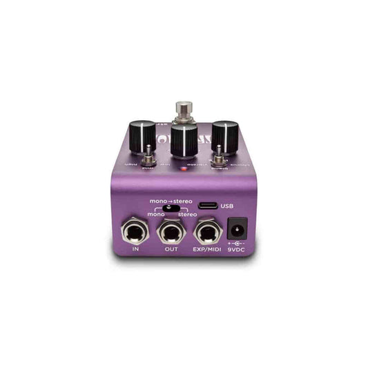 Strymon UltraViolet Vintage Vibe Pedal inputs