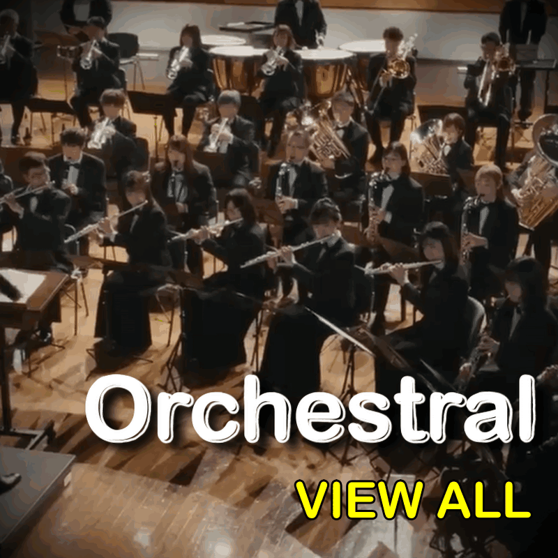 Orchestral Instruments - Joondalup Music Centre