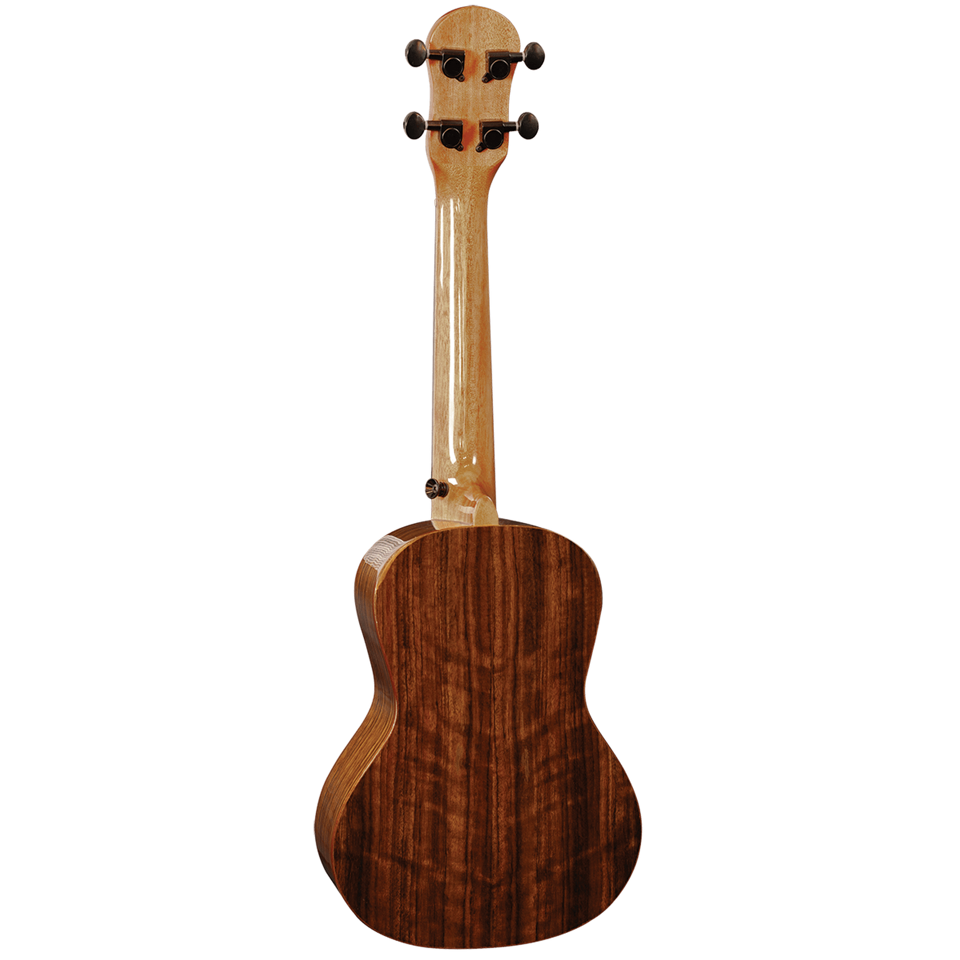 Barnes And Mullins BMUK5C Concert Ukulele - Walnut - Joondalup Music Centre