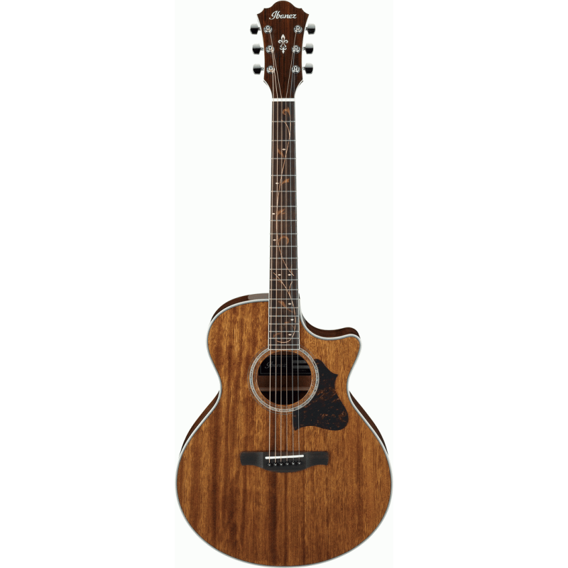 IBANEZ AE245 NT ACOUSTIC GUITAR - Joondalup Music Centre