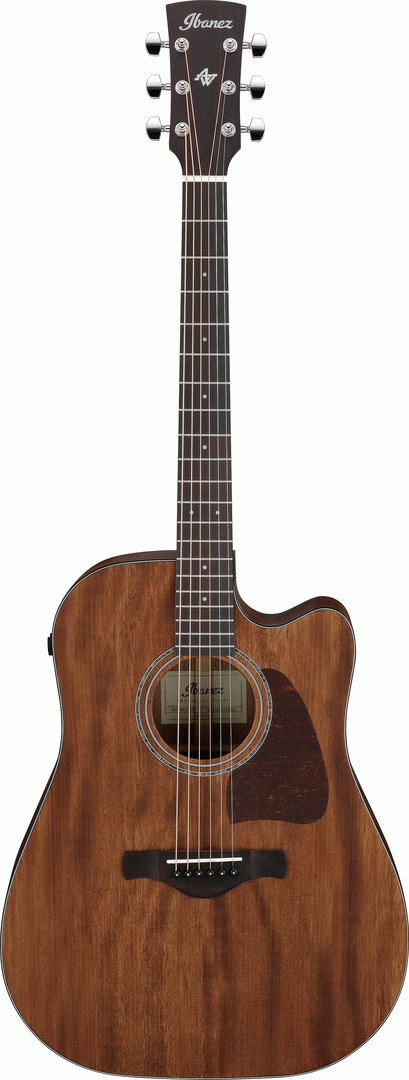 Ibanez AW1040CE Open Pore All Solid Acoustic Guitar - Joondalup Music Centre