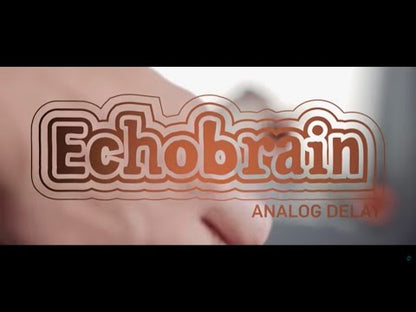 TC Electronic Echobrain Analog Delay Effects Pedal