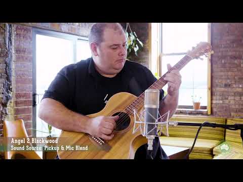Cole Clark AN2EC-BLBL Angel Acoustic Guitar W/Case from Joondalup Music Centre 3