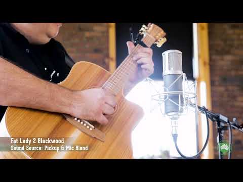 Cole Clark CCFL2EC-BLBL FL Series Acoustic Guitar - Blackwood from Joondalup Music Centre 3