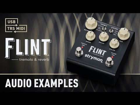 Strymon Flint 2 - Tremelo & Reverb Pedal video