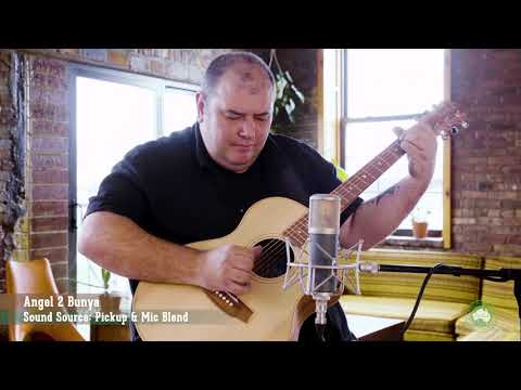 Cole Clark CCAN2EC-BB Grand Auditorium Acoustic Guitar - Bunya/Blackwood from Joondalup Music Centre 3