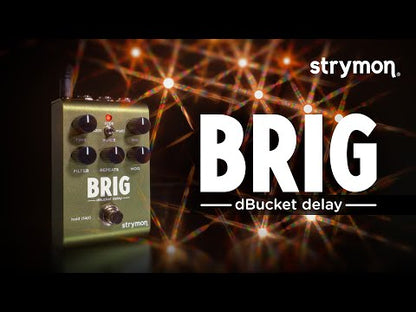 Strymon Brig dBucket Delay Pedal video