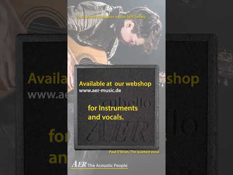 AER Cubello Acoustic Instrument Amplifier - 80 Watts