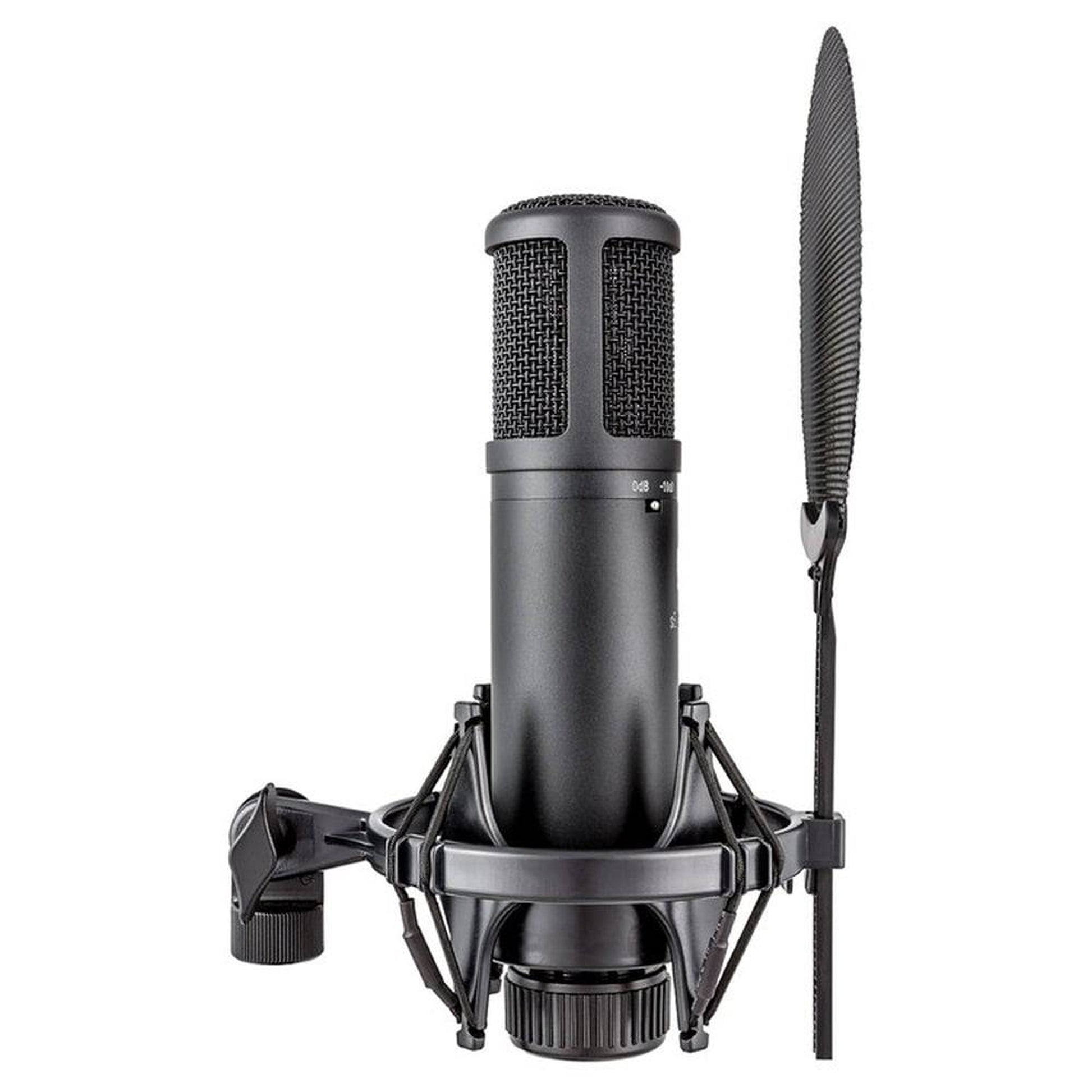 SE ELECTRONICS SE2200 LARGE DIAPHRAGM CONDENSER MICROPHONE - Joondalup Music Centre