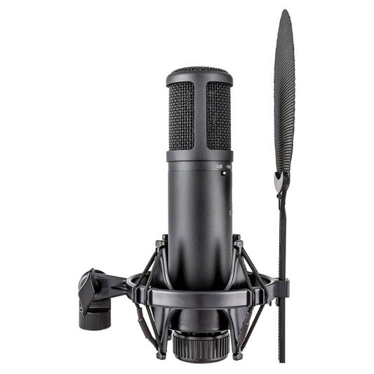 sE Electronics SE2200 Large Diaphragm Condenser Microphone - Joondalup Music Centre