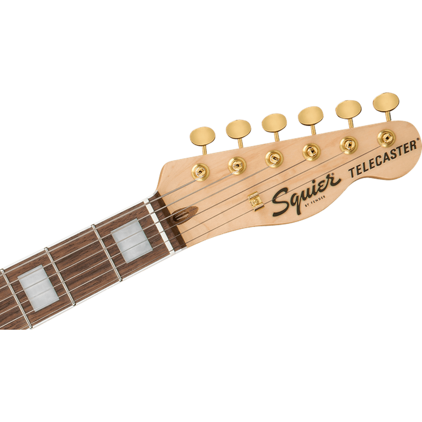 Squier 40th Gold Edition Anniversary Telecaster Electric Guitar - Sherwood Green - Joondalup Music Centre