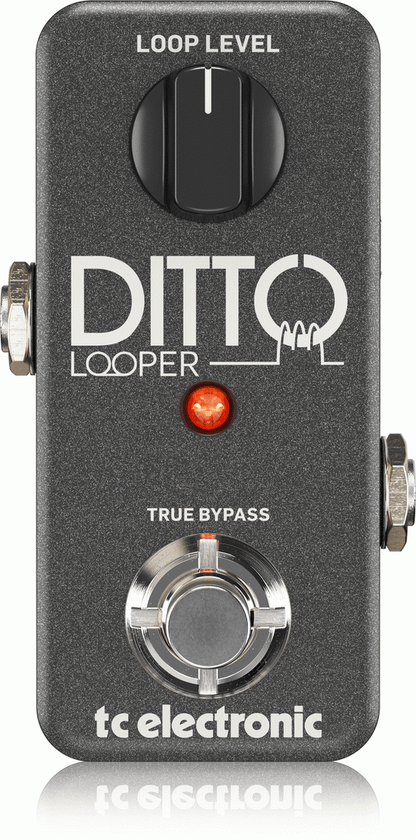 TC Electronic Ditto Looper Pedal - Joondalup Music Centre